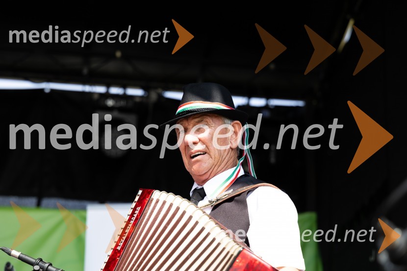 45. Lendavska trgatev 2024