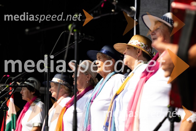 45. Lendavska trgatev 2024