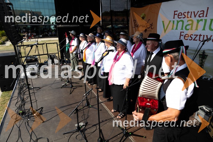 45. Lendavska trgatev 2024