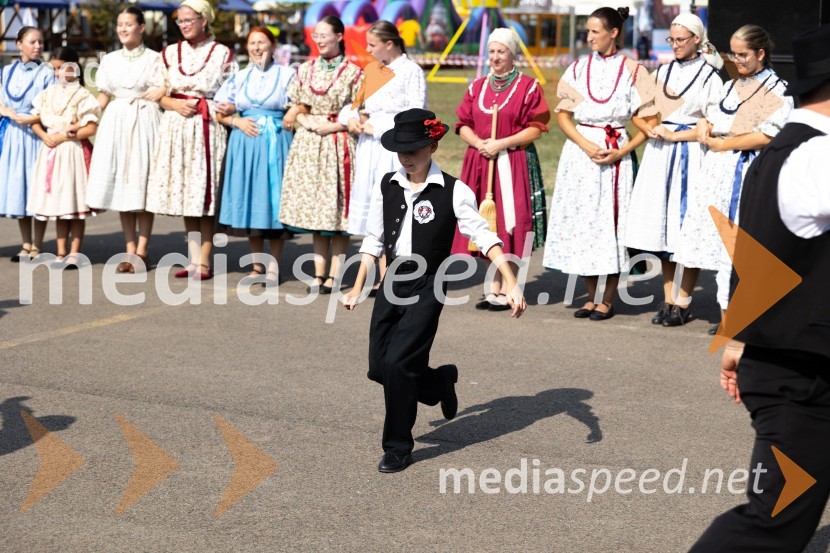 45. Lendavska trgatev 2024