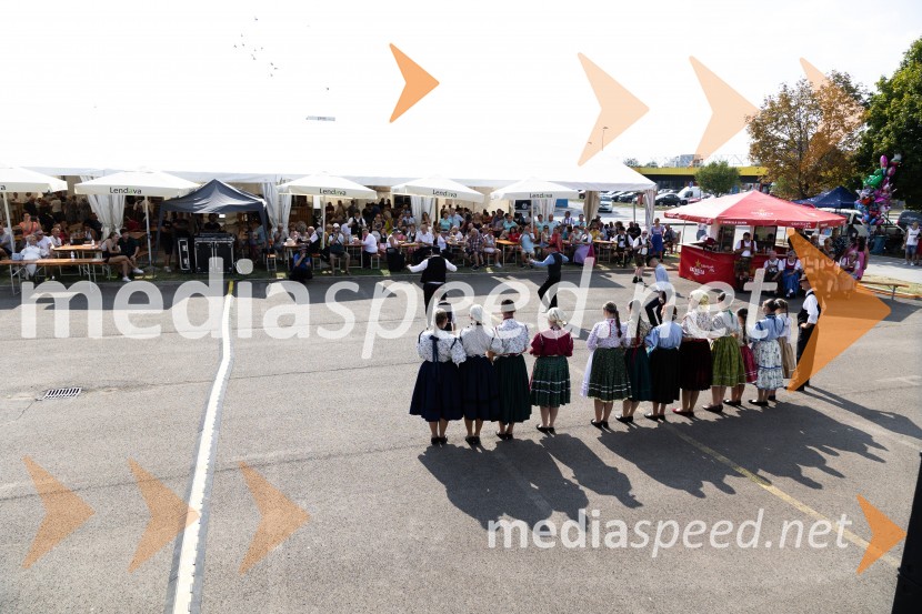 45. Lendavska trgatev 2024