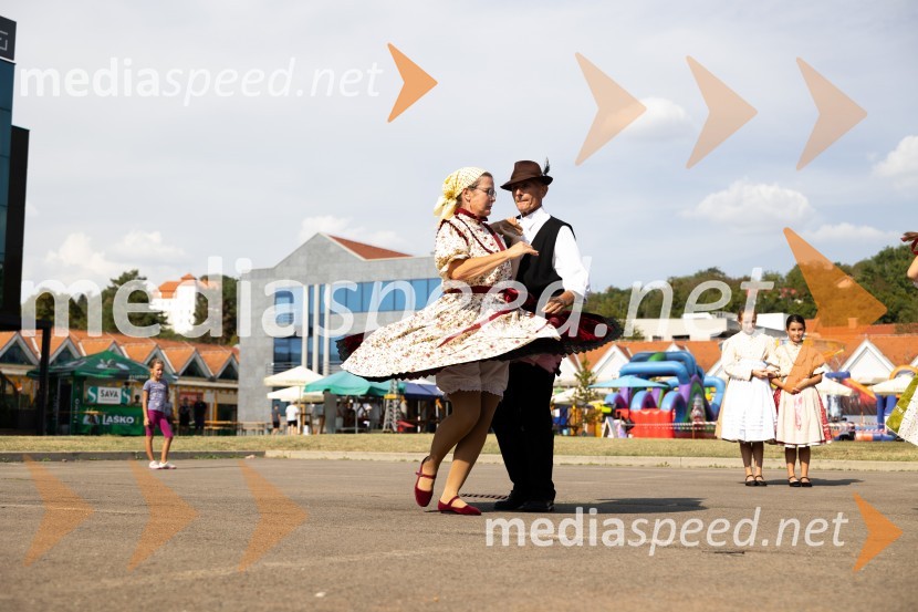 45. Lendavska trgatev 2024