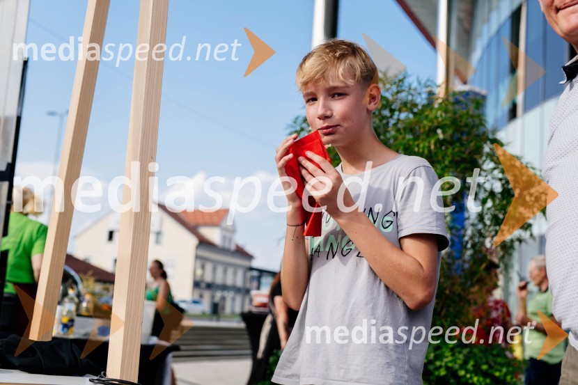 Šolačinkarije v Citycentru Celje