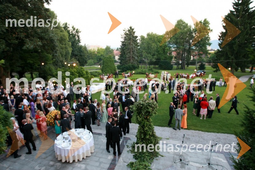 Vrt vile PodrožnikKresna noč 2009, Lions klub Ljubljana Iliria