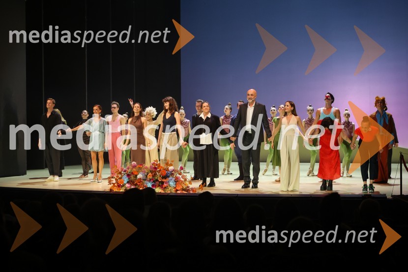 Mali princ v baletni različici, premiera SNG Opera in balet Ljubljana