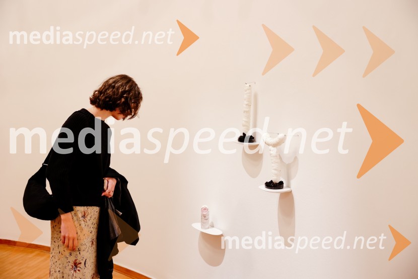 Odprtje razstave Odprti globus, Cankarjev dom