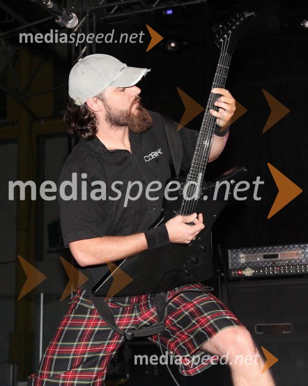 Boštjan Beltram - Berto, kitarist skupine Elvis JacksonPiše se leto 2009