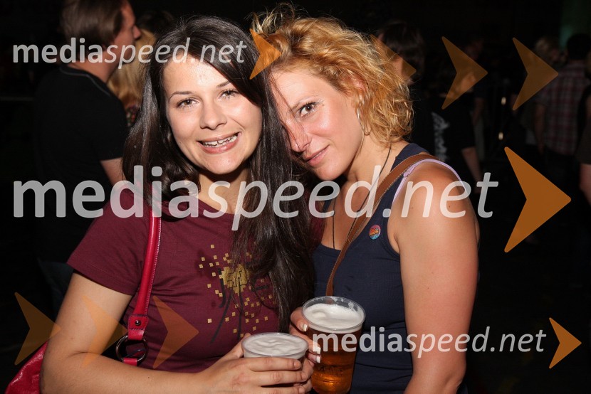 ObiskovalkePiše se leto 2009