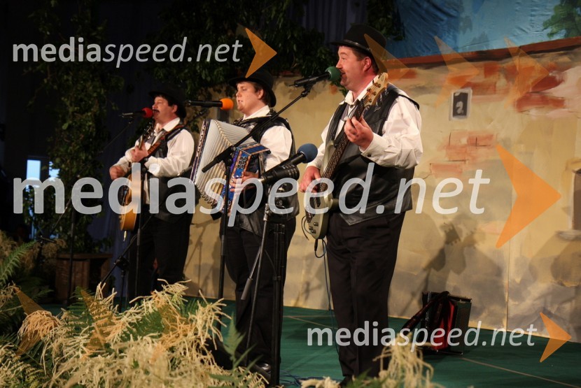 Ansambel KrajcarjiFestival Vurberk 2009