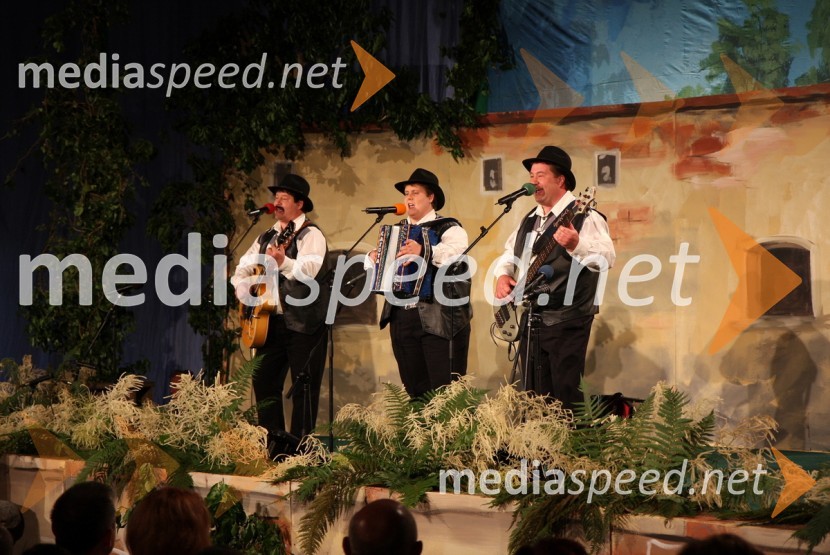 Ansambel KrajcarjiFestival Vurberk 2009