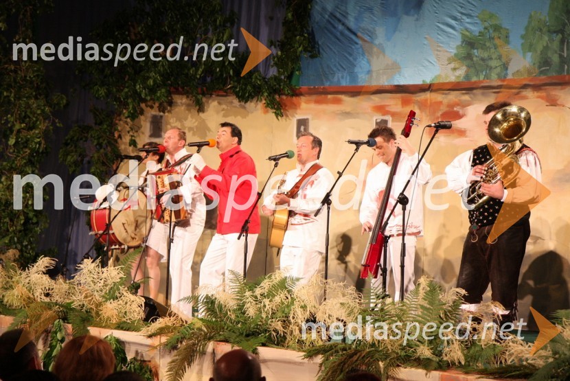 Ansambel MalibuFestival Vurberk 2009