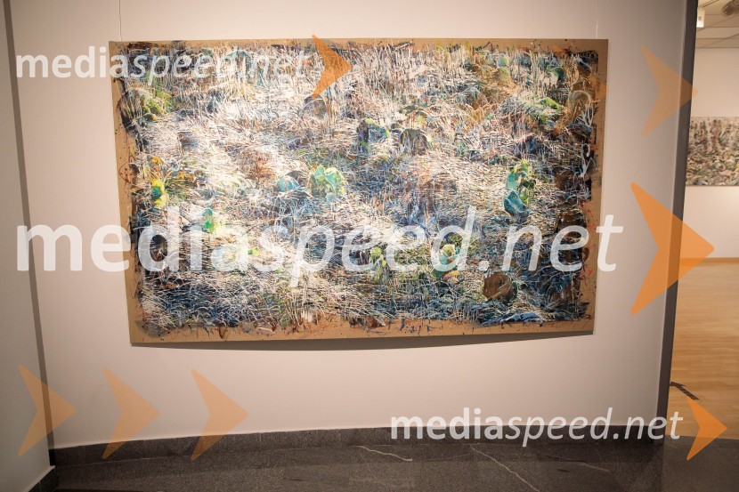 Odprtje razstave z naslovom Obrobja slikarke Anje Jerčič Jakob, Generali Galerija