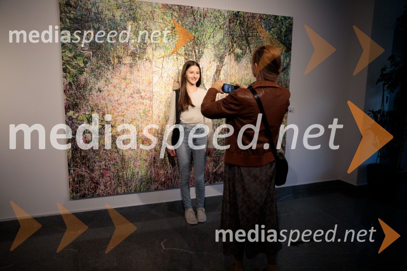 Odprtje razstave z naslovom Obrobja slikarke Anje Jerčič Jakob, Generali Galerija