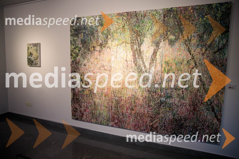 Odprtje razstave z naslovom Obrobja slikarke Anje Jerčič Jakob, Generali Galerija