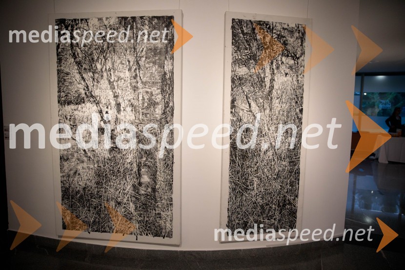 Odprtje razstave z naslovom Obrobja slikarke Anje Jerčič Jakob, Generali Galerija