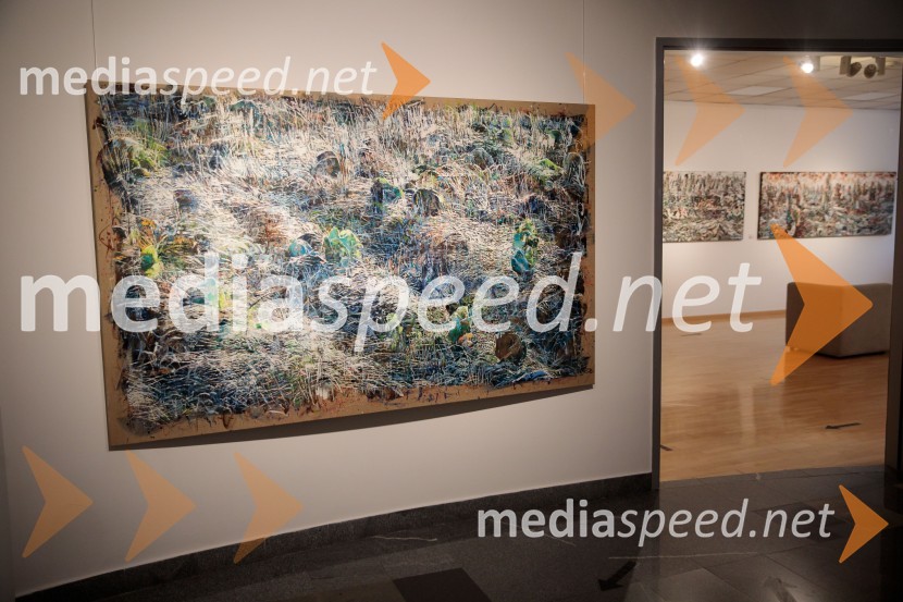 Odprtje razstave z naslovom Obrobja slikarke Anje Jerčič Jakob, Generali Galerija