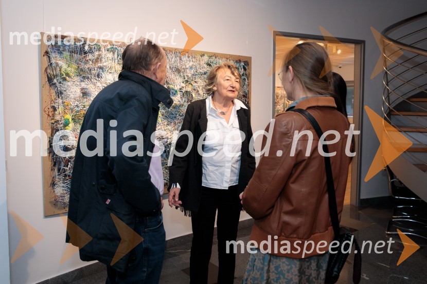 Odprtje razstave z naslovom Obrobja slikarke Anje Jerčič Jakob, Generali Galerija