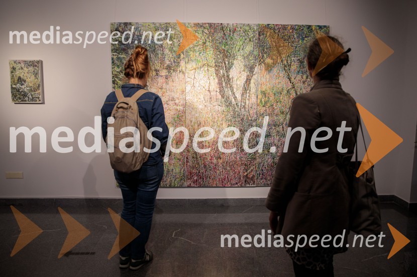 Odprtje razstave z naslovom Obrobja slikarke Anje Jerčič Jakob, Generali Galerija