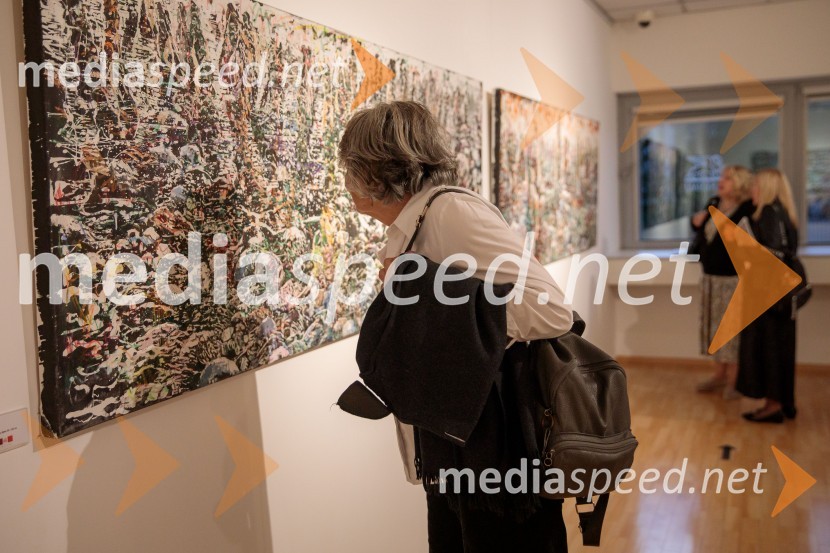 Odprtje razstave z naslovom Obrobja slikarke Anje Jerčič Jakob, Generali Galerija