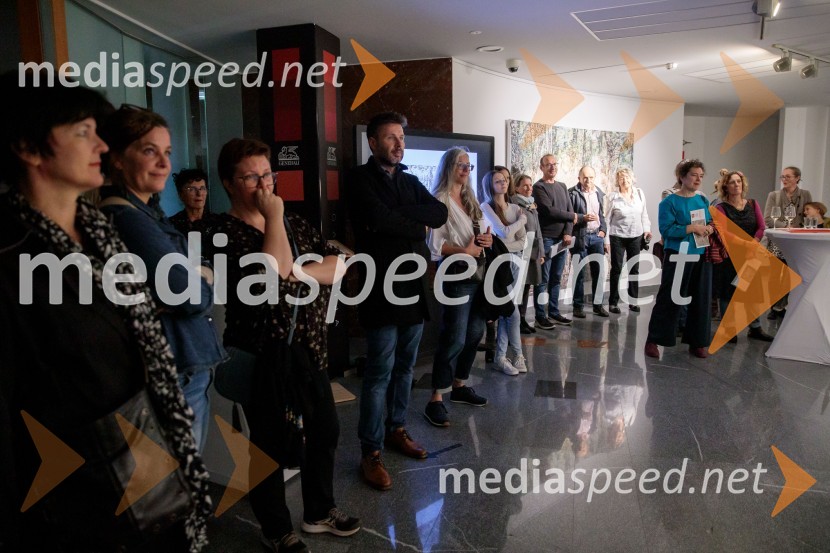 Odprtje razstave z naslovom Obrobja slikarke Anje Jerčič Jakob, Generali Galerija