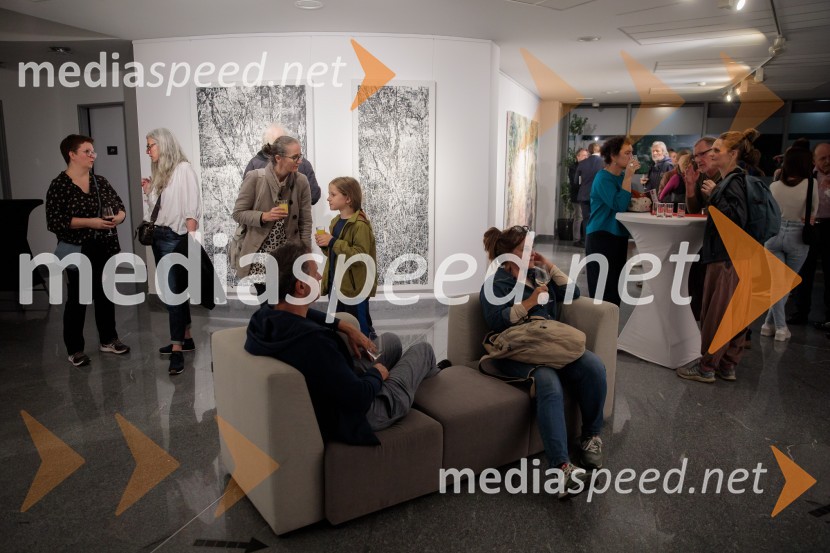 Odprtje razstave z naslovom Obrobja slikarke Anje Jerčič Jakob, Generali Galerija