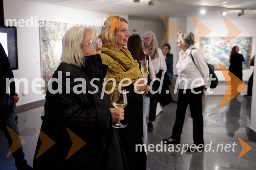 Odprtje razstave z naslovom Obrobja slikarke Anje Jerčič Jakob, Generali Galerija