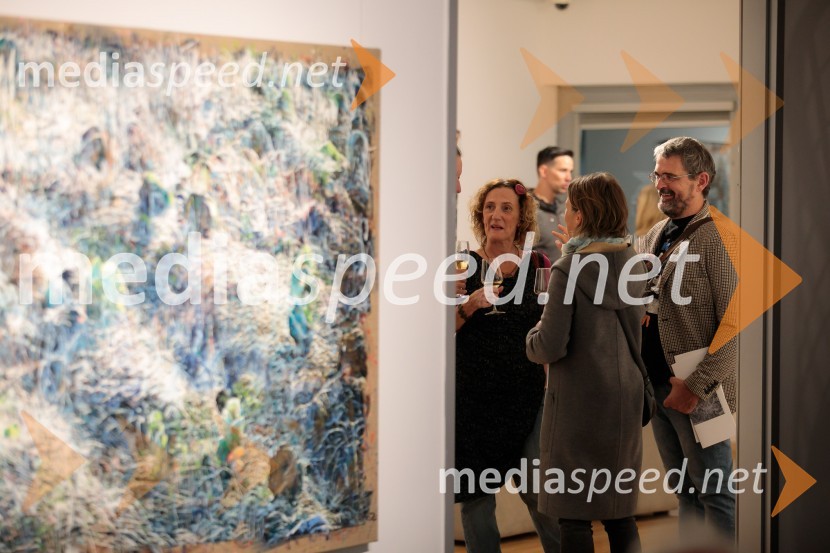 Odprtje razstave z naslovom Obrobja slikarke Anje Jerčič Jakob, Generali Galerija