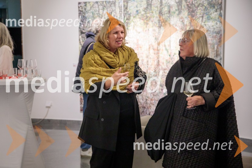 Odprtje razstave z naslovom Obrobja slikarke Anje Jerčič Jakob, Generali Galerija