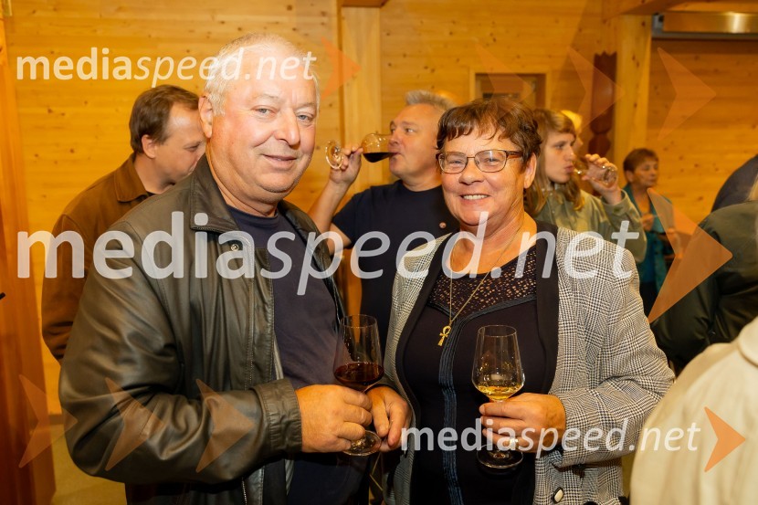 Iskrivo v živo: Ervin Hladnik Milharčič v pogovoru z Markom Crnkovičem