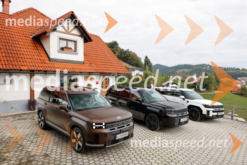 Novi Hyundai Santa Fe, predstavitev