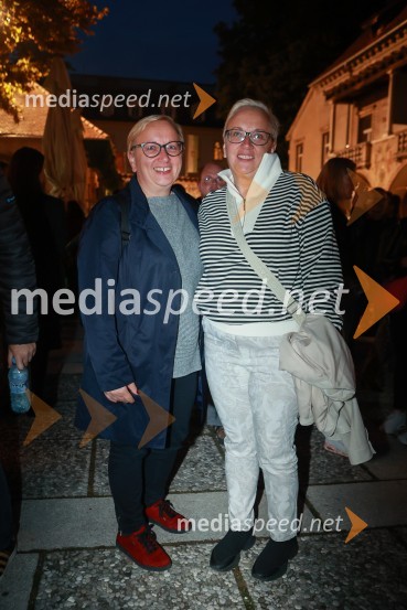 Gušti s prijatelji proslavil 40 let glasbene kariere