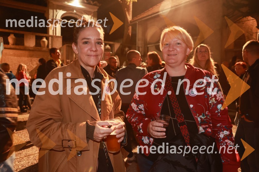 Gušti s prijatelji proslavil 40 let glasbene kariere