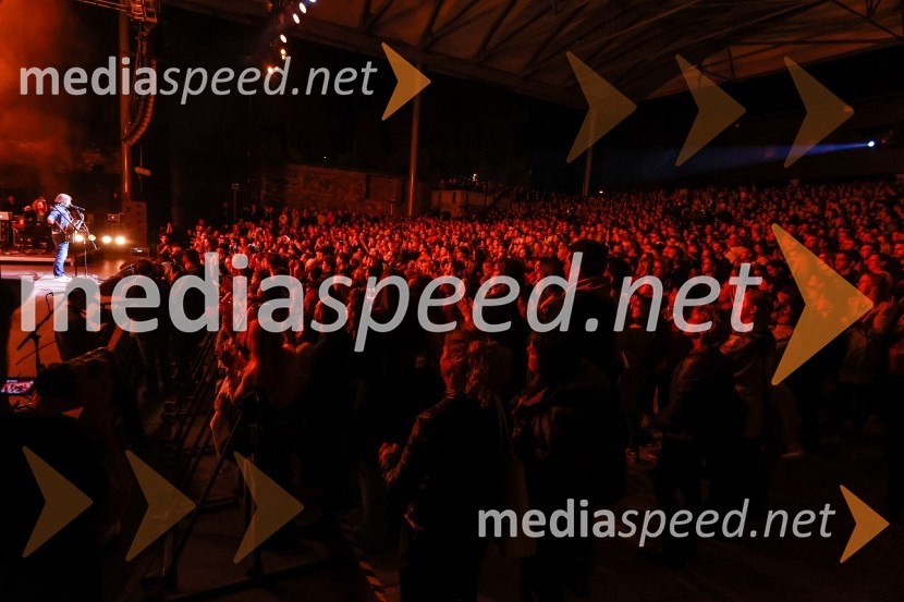 Gušti s prijatelji proslavil 40 let glasbene kariere