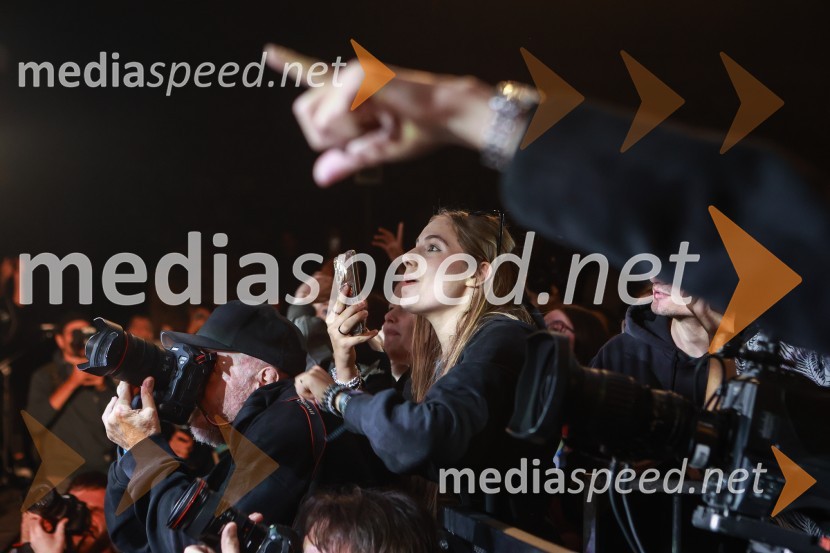 Gušti s prijatelji proslavil 40 let glasbene kariere