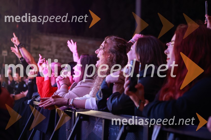 Gušti s prijatelji proslavil 40 let glasbene kariere