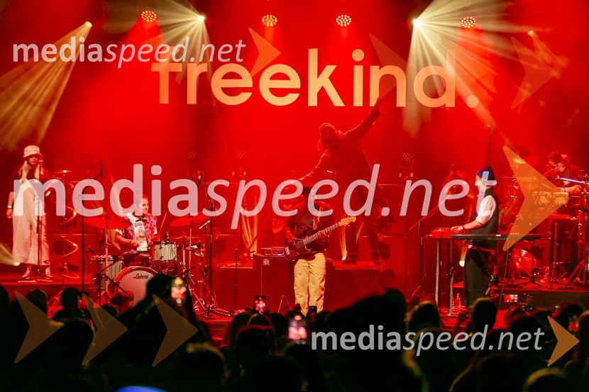 15. obletnica Kina Šiška z glasbeno skupino Freekind