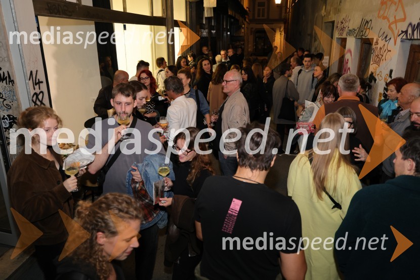 Odprtje razstave Lučke Centa z naslovom ARTE - FAKT