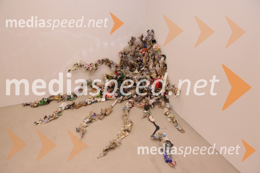 Odprtje razstave Lučke Centa z naslovom ARTE - FAKT