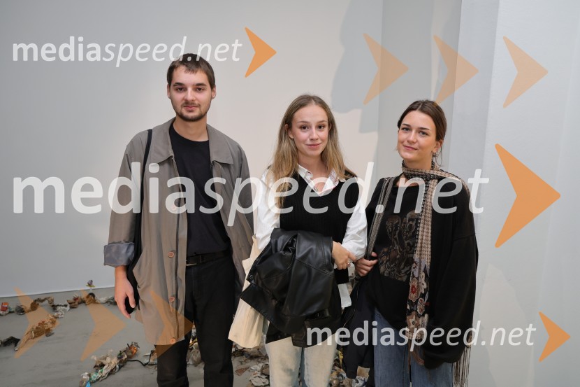 Odprtje razstave Lučke Centa z naslovom ARTE - FAKT