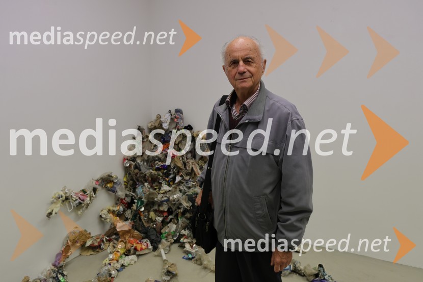 Odprtje razstave Lučke Centa z naslovom ARTE - FAKT