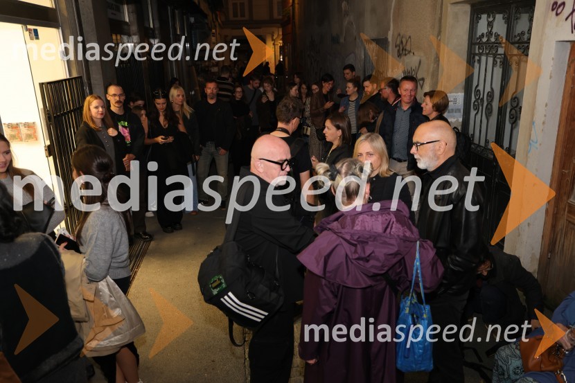 Odprtje razstave Lučke Centa z naslovom ARTE - FAKT