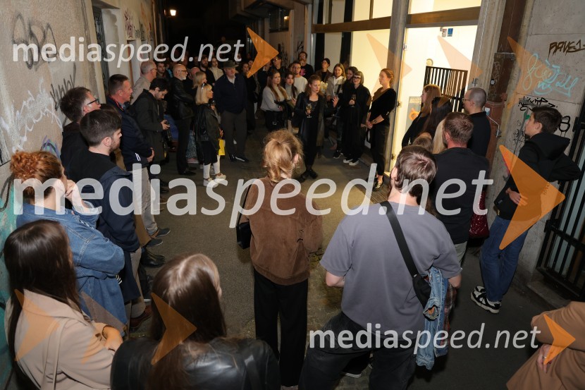 Odprtje razstave Lučke Centa z naslovom ARTE - FAKT