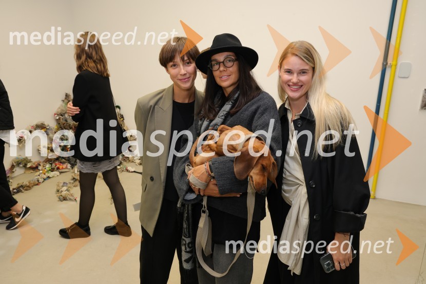 Odprtje razstave Lučke Centa z naslovom ARTE - FAKT