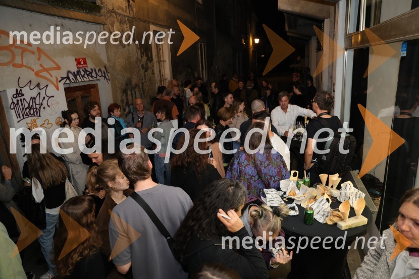 Odprtje razstave Lučke Centa z naslovom ARTE - FAKT