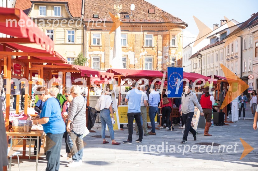 Dogajanje na trguDan krajevnih skupnosti MOK 2024