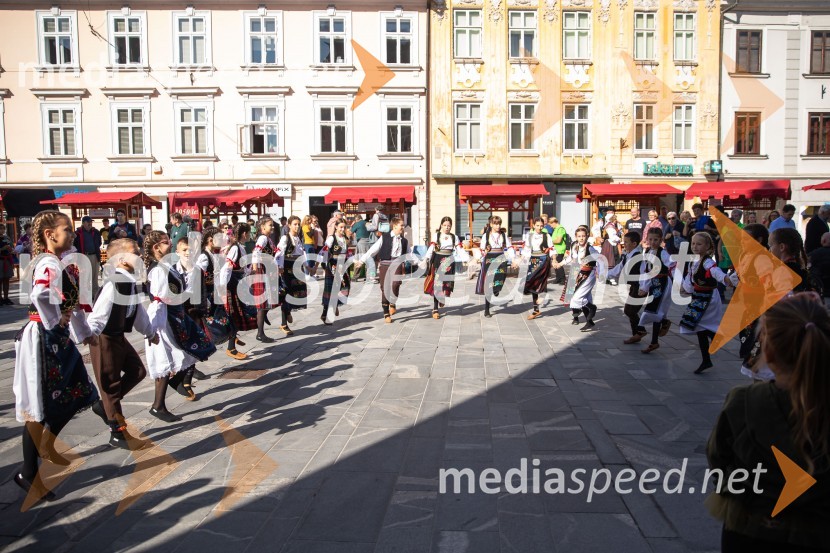 Folklorni nastop KD BrdoDan krajevnih skupnosti MOK 2024