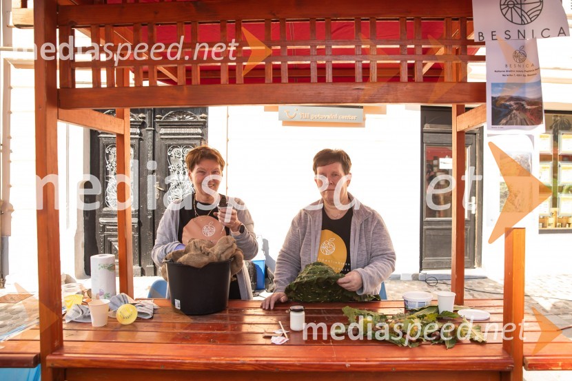 KS BesnicaDan krajevnih skupnosti MOK 2024