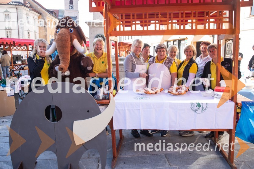 KS KokricaDan krajevnih skupnosti MOK 2024