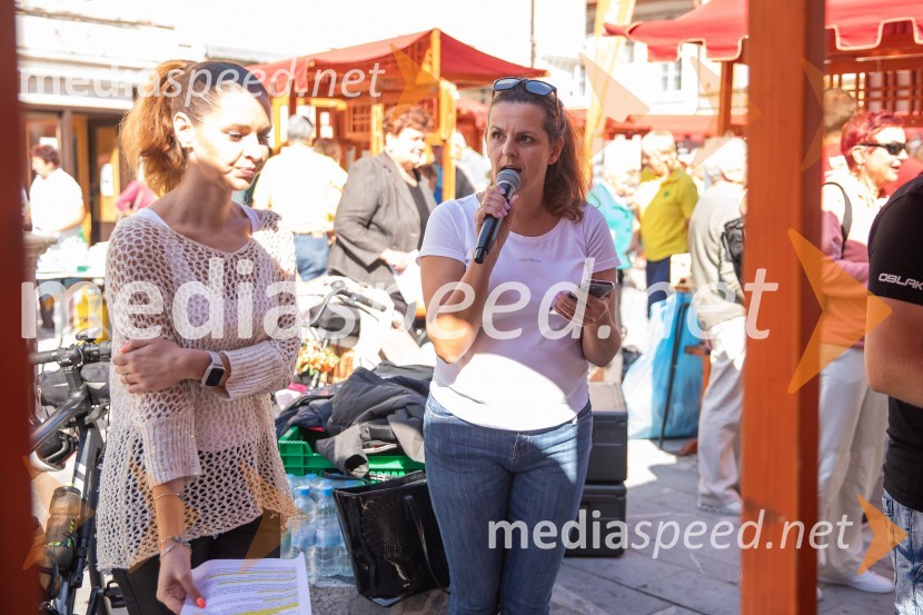 KS KokricaDan krajevnih skupnosti MOK 2024