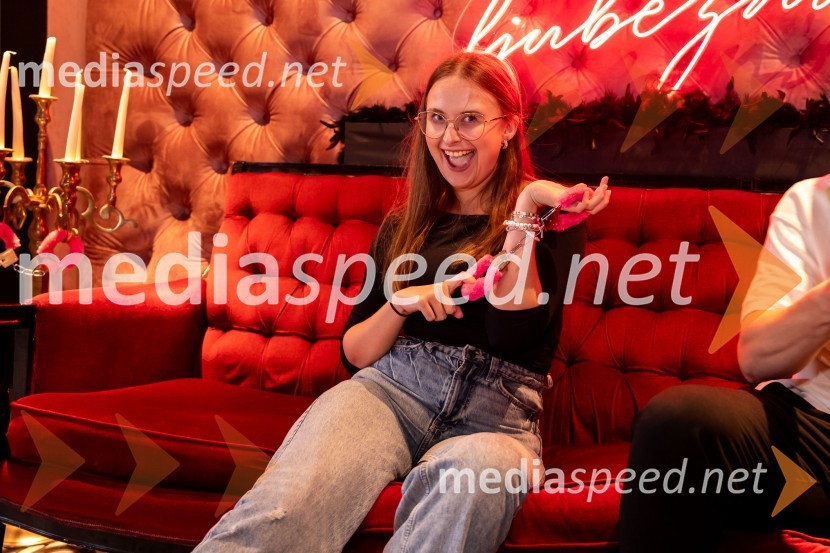  Ana Mačič Kotnik, kreatorka vsebinEkskluzivna premiera nove serije Hiša ljubezni